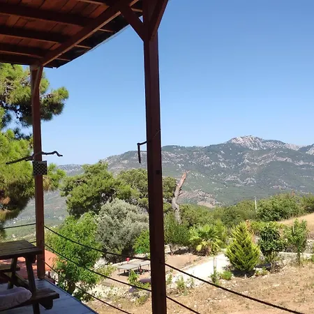 Soul Haven Mid Point