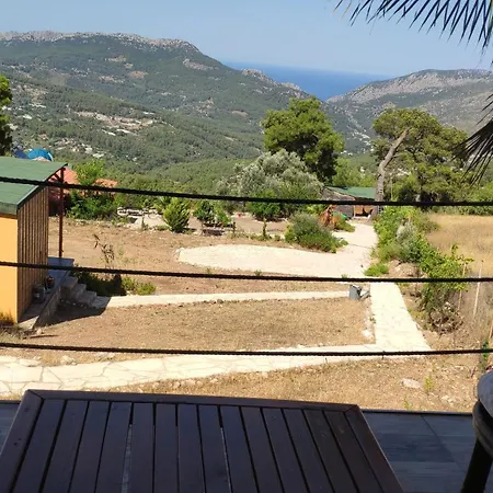 Soul Haven Mid Point *