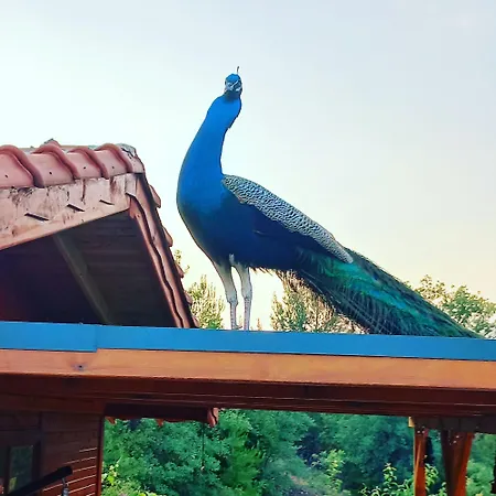 Soul Haven Mid Point 度假居 Kumluca